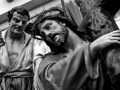 6_Terza